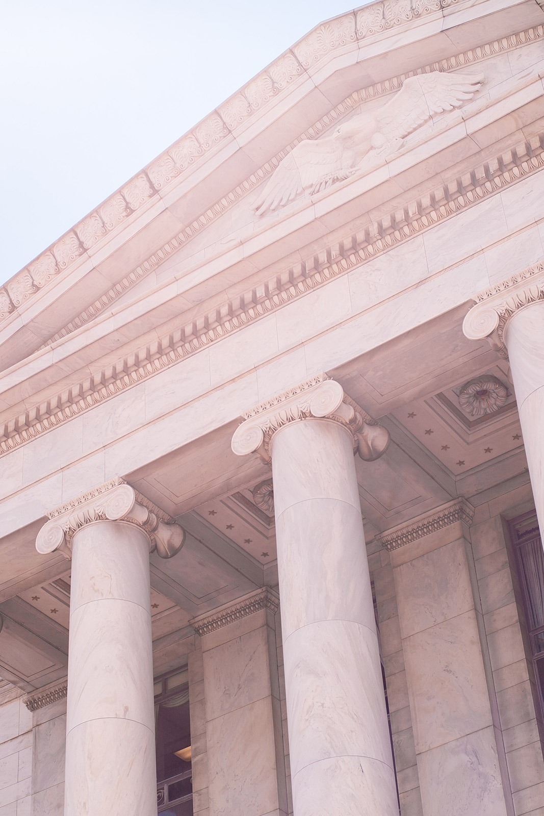 Government website brief