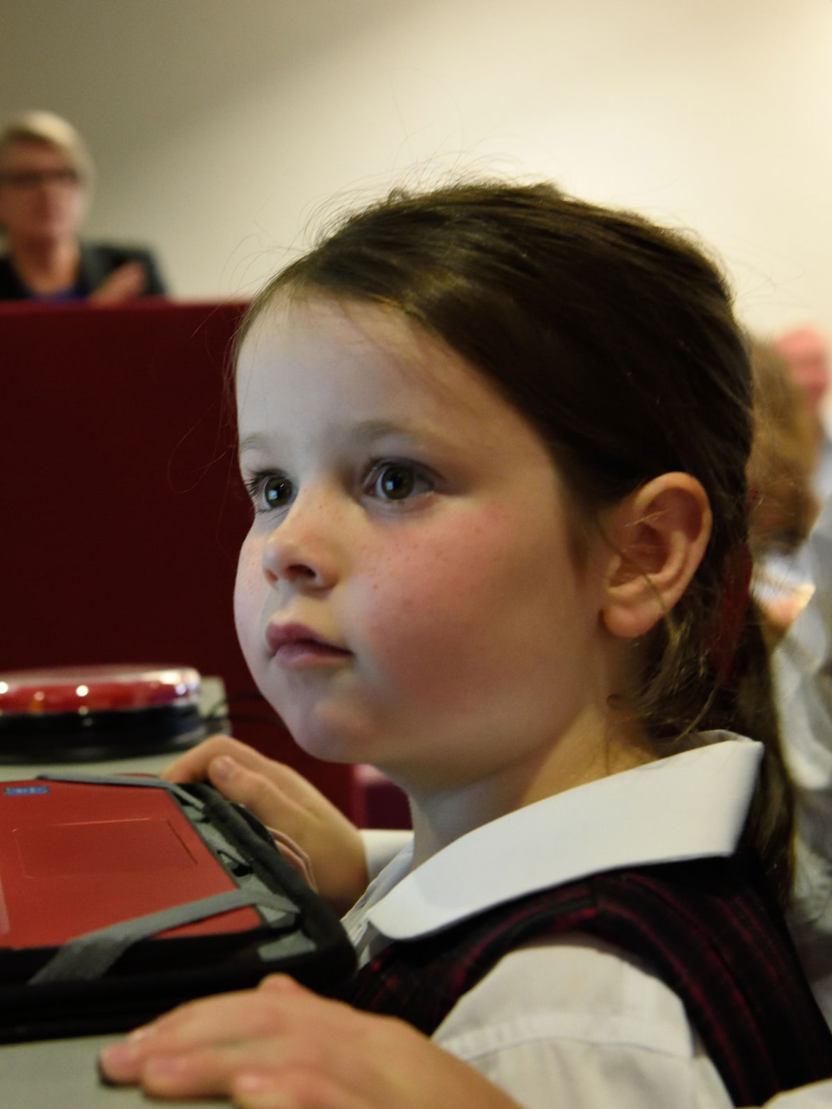 Primary school student looking at a computer