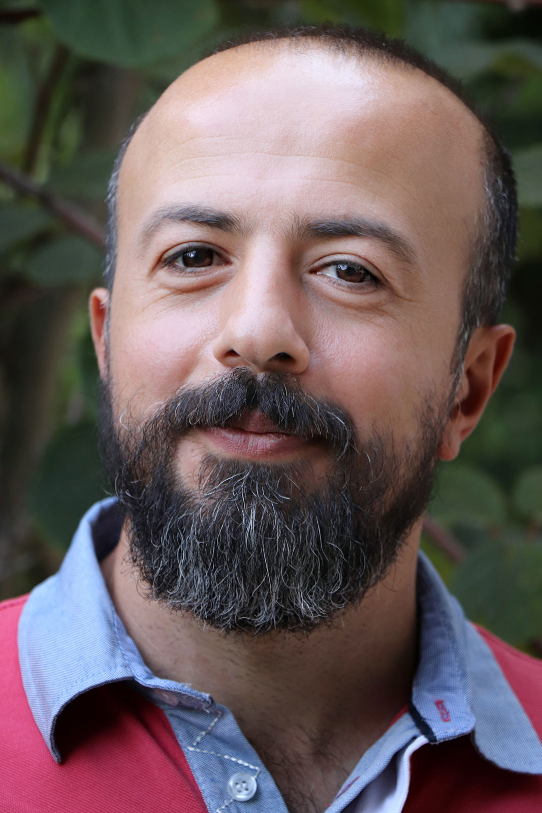 Buyer persona for a new car shopper